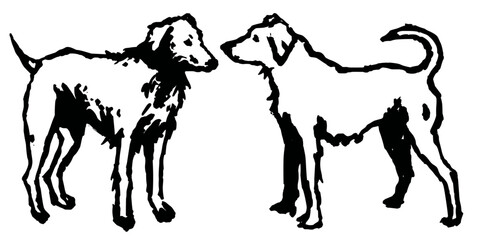 An outline vector illustration of a two cute dogs