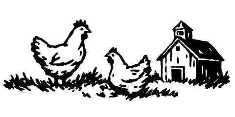 An outline vector illustration of a cage free chicken with a farm on a background