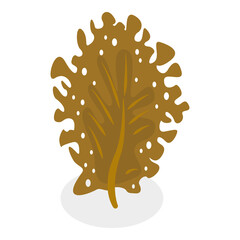 3D Isometric Flat  Set of Seaweeds. Item 2