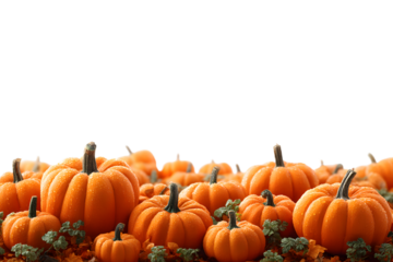 PNG Spooky Halloween pumpkin border, transparent background