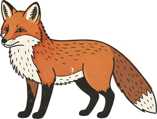 Obraz premium A beautiful hand drawn illustration of a red fox. This clever woodland creature is depicted standing, isolated on a white background for versatile use in designs.