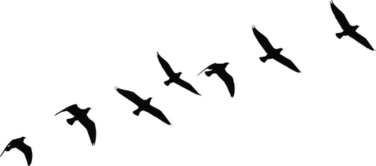 Silhouette illustration of flying birds in a V-shaped formation, perfect for nature, freedom, migration, and wildlife-themed designs and projects.