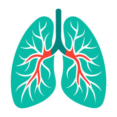 Anatomical illustration of healthy lungs, perfect for medical, healthcare, and educational projects
