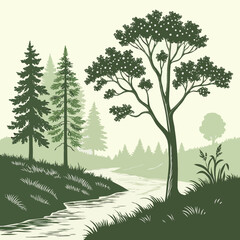 Fototapeta premium trees in the forest
