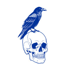 Mysterious Raven perched on a detailed human skull, evoking dark themes
