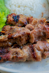 Delicious grilled meat skewers with rice, perfect for food blogs, restaurant menus, and travel.