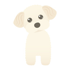 首をかしげる犬のマルプーのイラスト