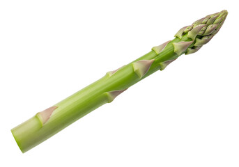 Close-up view of a fresh, vibrant green asparagus spear against a black background.