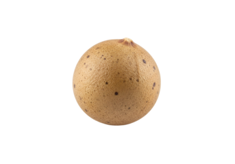 Close-up image of a single, round, light brownish seed, displaying a textured surface with small dark spots, set against a pure black background.