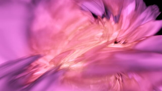 macro of pink flower