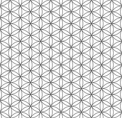 Seamless Geometric Line Pattern. Black and White Texture.