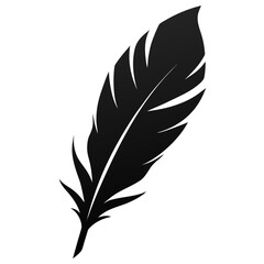 Fototapeta premium Elegant black silhouette of multiple feathers