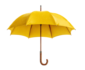 Bright yellow umbrella with curved wooden handle isolated on a plain background for protection and style