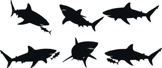 Silhouette sharks hunting fish, predator marine life illustration, ocean wildlife scene, dangerous sea animals, underwater hunting concept, aquatic predator behavior art