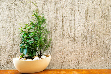 Modern light ceramic vessel with aromatic herbs and smooth stones on weathered orange painted wood...