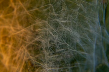 Tangled Light: Abstract Fibers in Motion