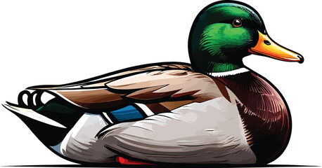 Cute cartoon a illustrator vector waterfow