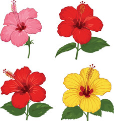 Hibiscus flower collection, vibrant pink, red, and yellow blooms with green leaves, tropical ornamental plants, botanical photography, floral decoration, exotic garden beauty, close up