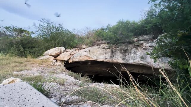 Bat Colony Emerging from Cave at Sunset &ndash; Nature Scene