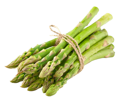 A bunch of fresh green asparagus spears tied with twine, isolated on a transparent background, showcasing healthy and natural produce