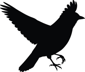 a black silhouette of a bird flying on transparent background