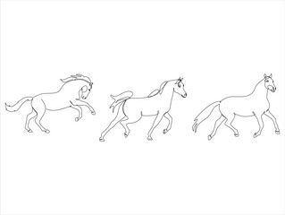 Linear abstract continuous drawing of horse
