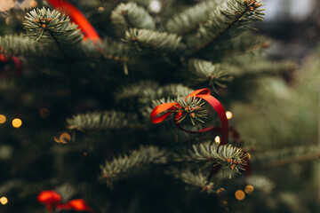 Red small bows is hanging from a Christmas tree outdoors. Holiday background