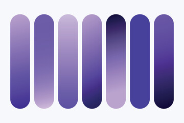 Color Palette