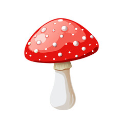 fly agaric isolated on white