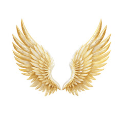 golden wings isolated on white