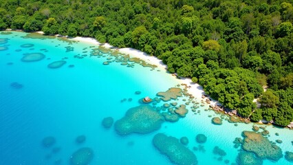 Aerial view of the blue sea forest