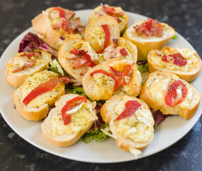 Toasted Baguette Bruschetta Bites with Brie, Bacon, Red Pepper, Cheddar, Herbs on a Salad Bed