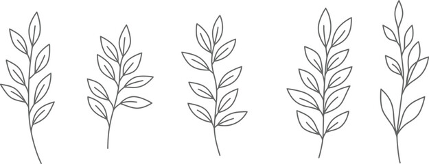 Fototapeta premium simple line drawings of various leafy plants