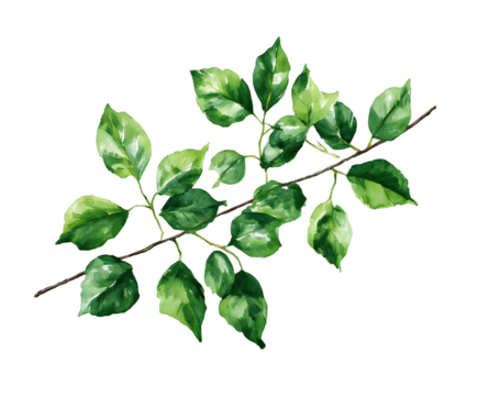 Watercolor illustration of a branch with vibrant green leaves, isolated on a transparent background, evoking a sense of nature and growth