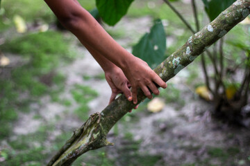 Childs hands gently holding a thick tree branch in a garden