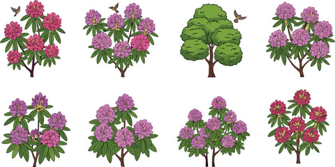 Beautiful blooming rhododendron flowers and green tree vector illustration with birds for botanical floral design, nature decoration, and outdoor landscaping