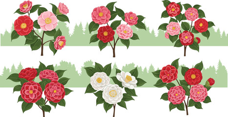 Beautiful camellia flower tree vector illustration set with pink, red, and white blossoms, botanical garden elements, floral design, and nature artwork