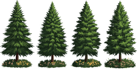 Beautiful evergreen pine trees illustration vector set with green forest foliage, grass, wildflowers, and detailed botanical nature landscape design artwork