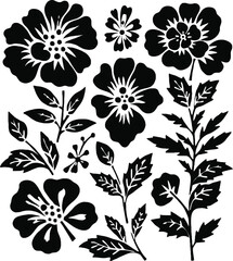 Fototapeta premium Black floral motifs botanical elements collection white background