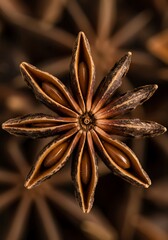 Star Anise Symphony