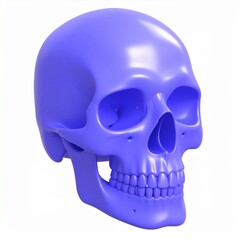Fototapeta premium Detailed 3D Model of Human Skull in Blue on White Background Studio Lighting