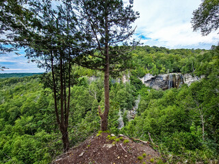 A scenic lush green forest valley lookout with rugged white rocky cliffs and a waterfall in the distance under a blue wispy clouds sky.