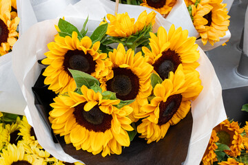 Common sunflower (Helianthus annuus) bouquet arrangement displayed at Copenhagen market