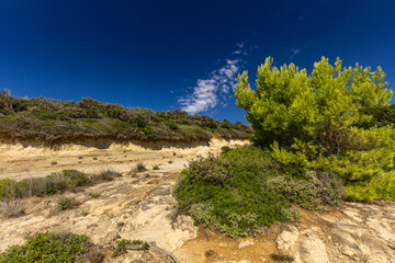 Sand dunes, shifting sands, and wild Mediterranean vegetation on Stracic Beach on the island of Rab,