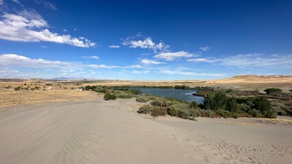 Sand Dune and Oasis in Western United States