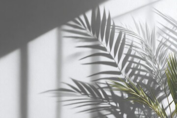 shadow overlay effects of realistic window and palm branch leaf shadow with light blur on transparent background, Summer sunlight and shadow overlay effect, shadow for photo interior backdrop mockup