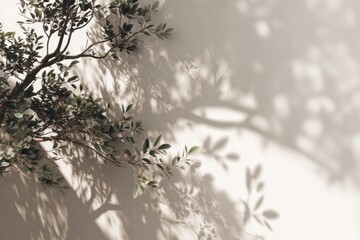 shadow overlay effects of realistic window and tree branch shadow with light blur on transparent background, Summer sunlight and shadow overlay effect