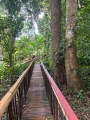 Les paysages de l'île de Mayotte