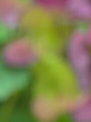 abstract colorful background