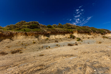 Sand dunes, shifting sands, and wild Mediterranean vegetation on Stracic Beach on the island of Rab,